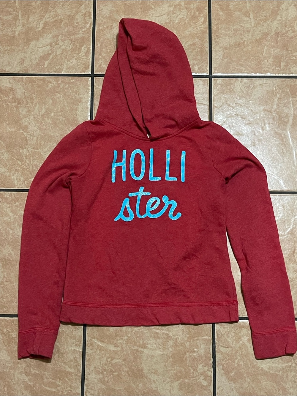 Y2K Send offer to me Hollister Red Hoodie with Turquoise Logo